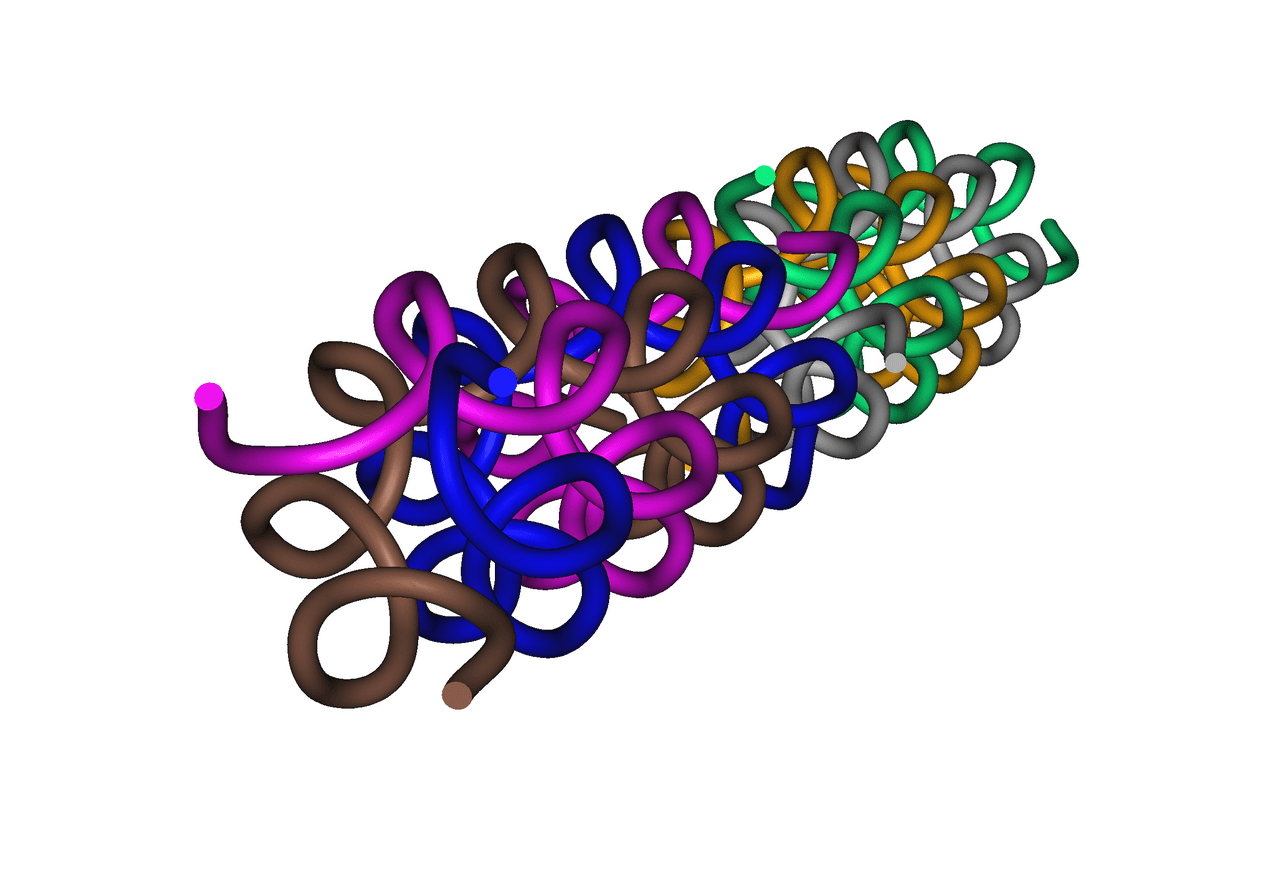 Structure 3D du collagene, cible principale de la radiofrequence et des HIFU