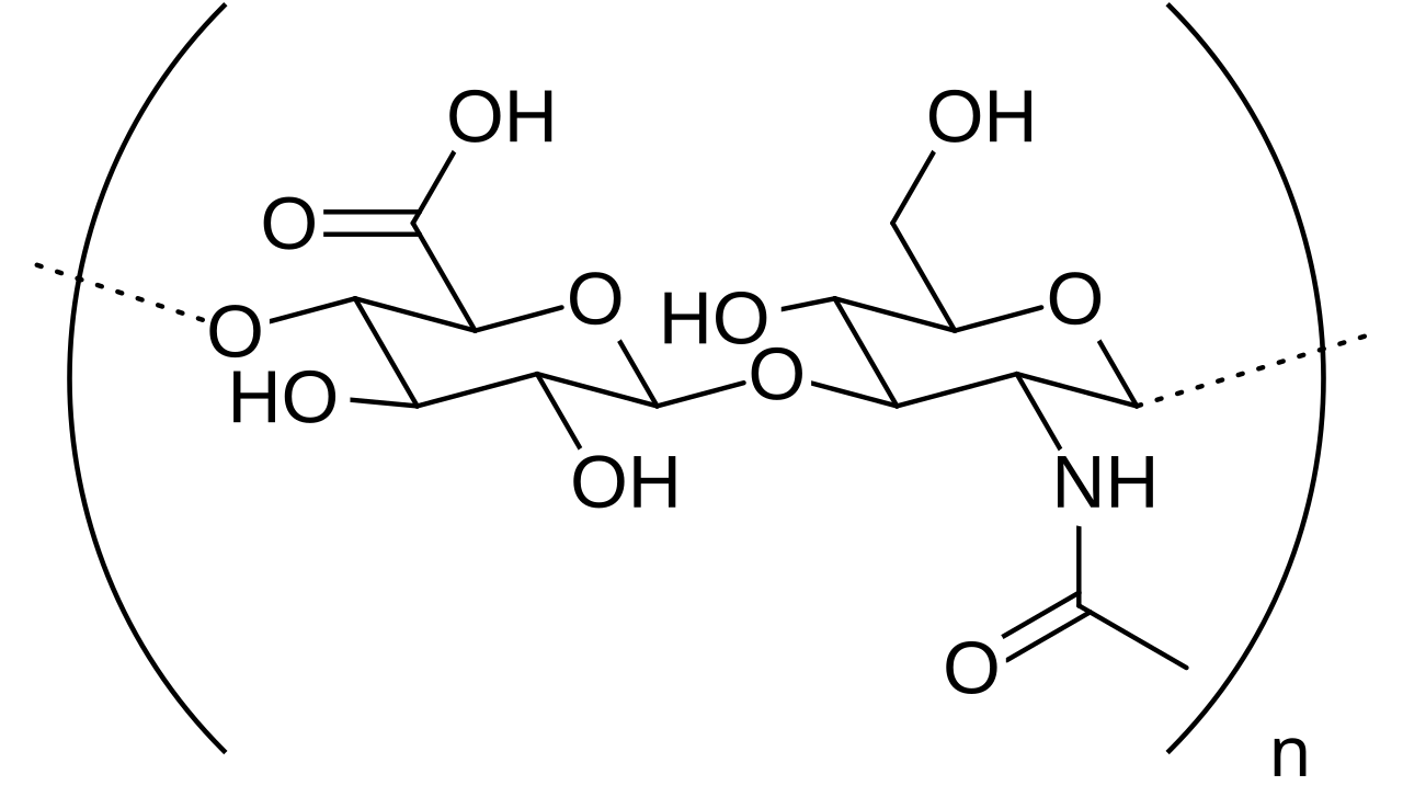 Structure chimique de l'acide hyaluronique, gel injectable utilise en medecine esthetique